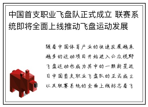 中国首支职业飞盘队正式成立 联赛系统即将全面上线推动飞盘运动发展